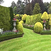 garden1.jpg