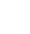 Section 5_Icon 2